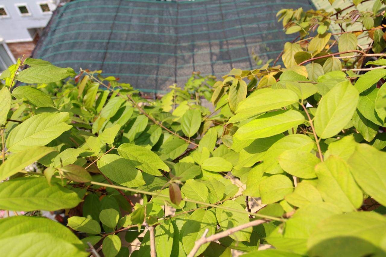 Ngoc Minh Khách sạn TP. Hồ Chí Minh
